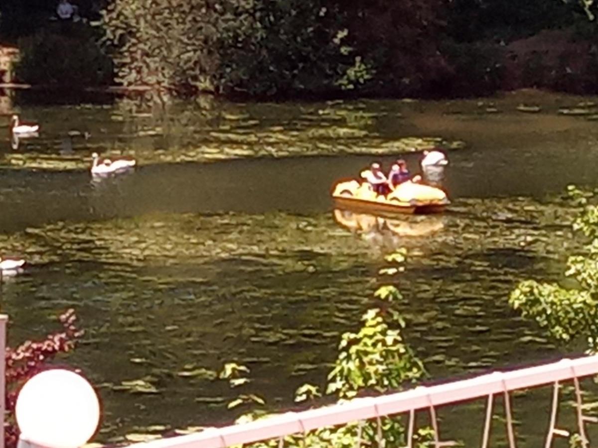 Direkt Am See Ferienwohnungen Waldeck  Eksteriør billede